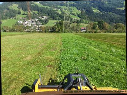 Bild 7:Böschungsmähen, Mulchen, Astsäge - Tirol, Zillertal