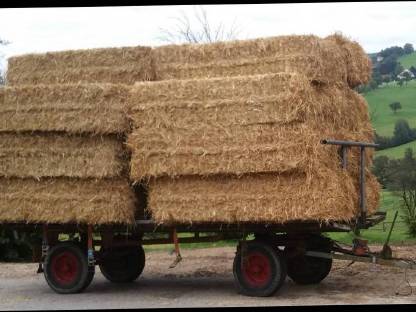 Verkaufe zweiachs Ballenwagen