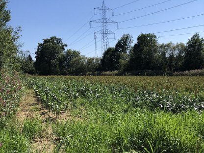 Ca. 1,3 ha in Preding zu verkaufen