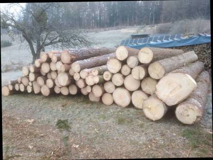 Bild 5:Forstarbeiten, Holzschlägerung