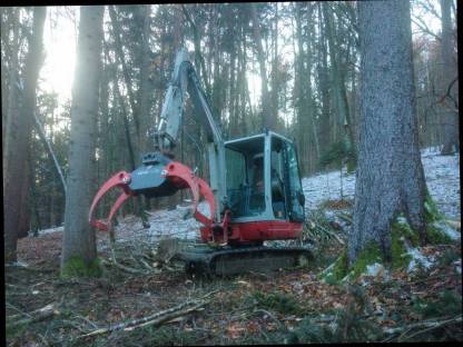 Bild 2:Forstarbeiten, Holzschlägerung