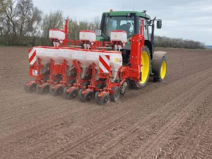 Bild 4:Lohnanbau Einzelkornsaat