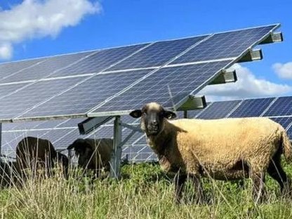 Flächen gesucht für langfristige Pacht: Agri-Photovoltaik