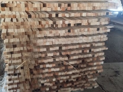 Bild 2:Lärchenstippel