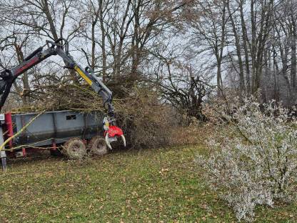 Feldrainpflege, Heckenpflege, Fällgreifer, Zwicker