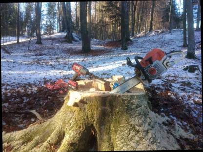 Bild 4:Forstarbeiten, Holzschlägerung