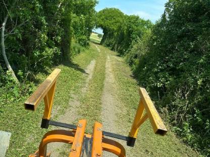 Bild 7:Lichtraumprofil- und Pflegeschnitt