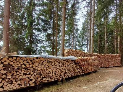 Gemischtes Brennholz