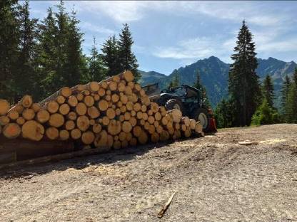 Bild 3:Holzschlägerung und Bringung, Schneeräumung