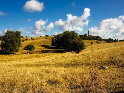 Bild 4:Wiese, Weide, Waldlichtung