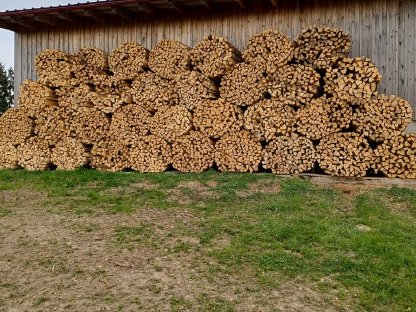 Bild 2:Brennholz