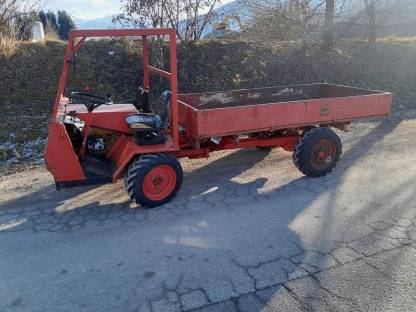 Bergtraktor Waldhofer D35 Allradantrieb