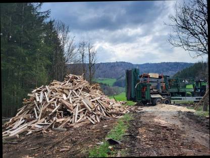 Bild 7:Lohnspalten mit Sägespaltautomat Posch K550