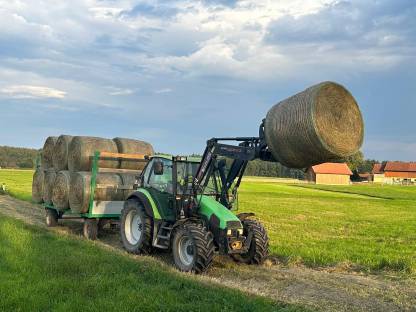 Rundballen Moosheu von Naturschutzwiese (Pfeifengras)