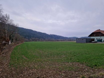 Bild 2:Sonniges Baugrundstück