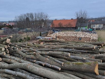 Brennholz trocken Aktion