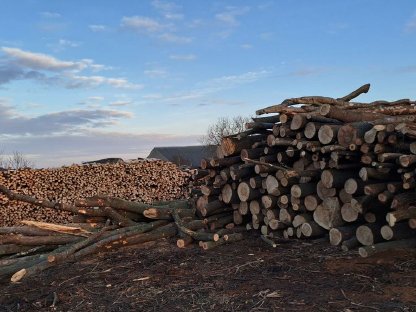 Bild 4:Brennholz trocken Aktion