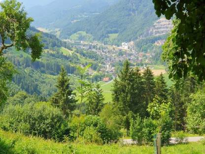 Sommerweide für Pferde