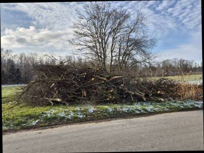 Bild 4:Feldrainpflege, Heckenpflege, Fällgreifer, Zwicker