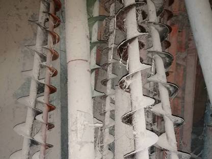 Bild 2:Verschiedene Schnecken