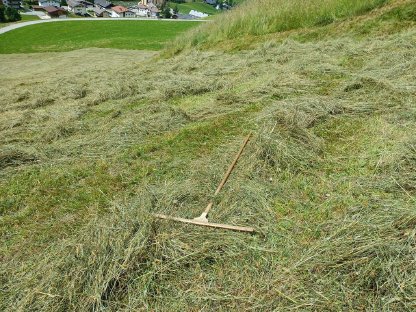 Bild 3:Heu in Kleinballen