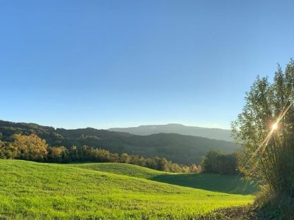 Bild 2:Grundstück mit vielen Möglichkeiten Toskana (Italien)