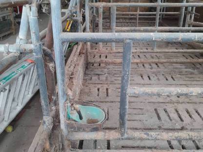 Bild 3:Aufstallung