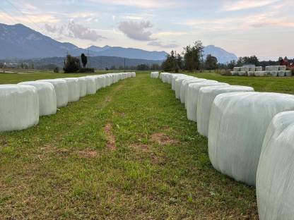 Silageballen 2. Schnitt