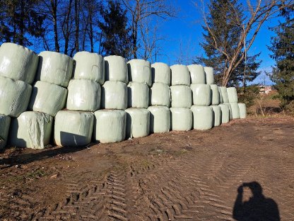 Silageballen