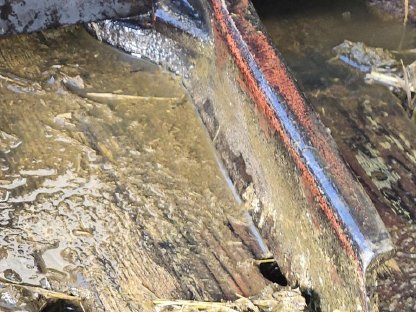 Bild 3:Alfa Laval Entmistungsschieber gesucht