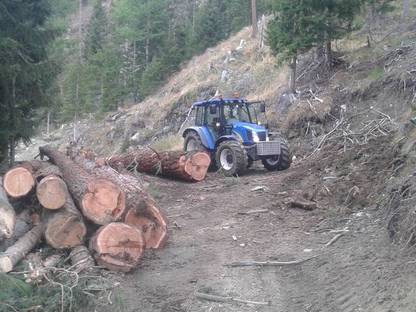 Bild 2:Arbeitswillig und fleißig bietet Holzschlägerung