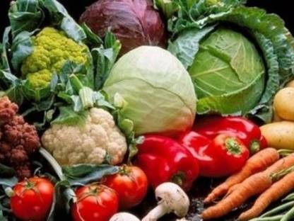 Anbau Gemüse - Projekt in Ukraine