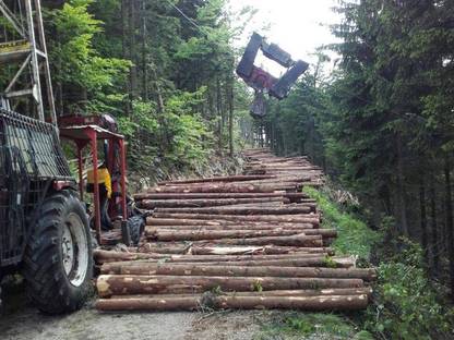 Bild 3:Motormanuelle Durchforstungsservice