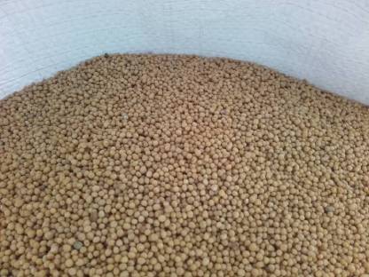 Bild 3:Bio-Gelbsenf/ Buchweizen