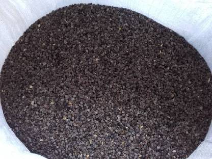 Bild 4:Bio-Gelbsenf/ Buchweizen