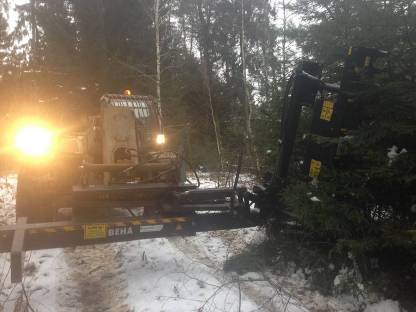 Bild 2:Heckenschneiden