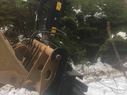 Bild 3:Heckenschneiden