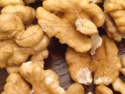 Bild 3:Walnuss