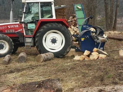 Bild 4:Rund um den Baum