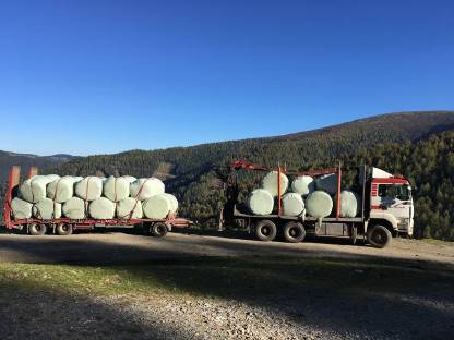 Bild 2:Ballentransport