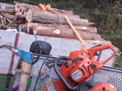 Bild 2:Rund um den Baum