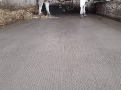 Stalleinrichtung Boden: Stallbodensanierung gebraucht kaufen - Landwirt.com