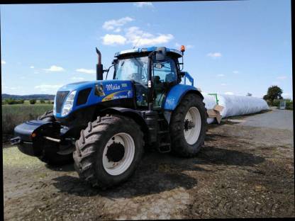 Bild 2:Silage, Meiss und Rűbeschnitzel