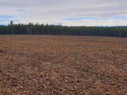 Bild 2:Forstmulchen und Rekultivieren