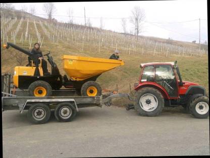 Bild 3:Dumper 4t und Baggerarbeiten 3.6t