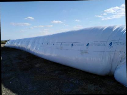 Bild 3:Silage, Meiss und Rűbeschnitzel