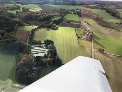 Bild 2:Frische Fisch Forelle (inkl. Versand)