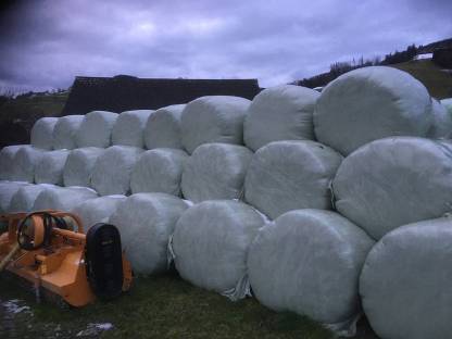 Bio-Silageballen