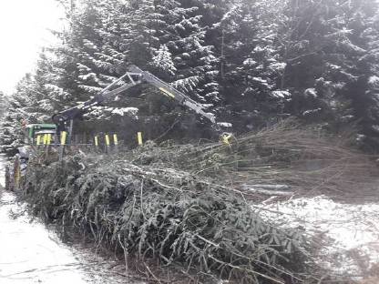 Bild 4:NEU bei uns - Rückewagen H10D