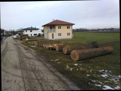 Bild 4:Durchforstungen und Landschaftspflege